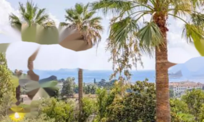 Недвижимость Apartment Cannes Californie: 12