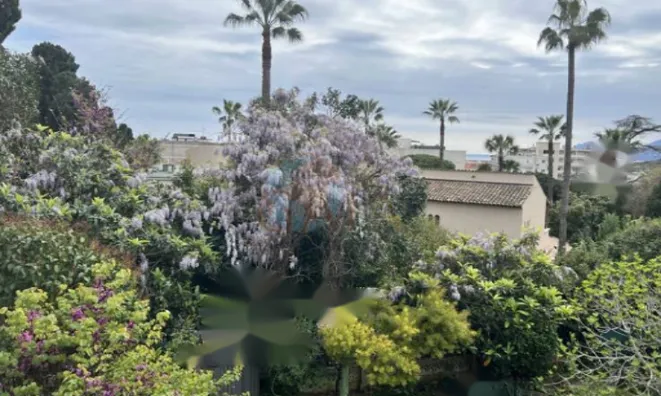 Недвижимость Apartment Cannes: 7