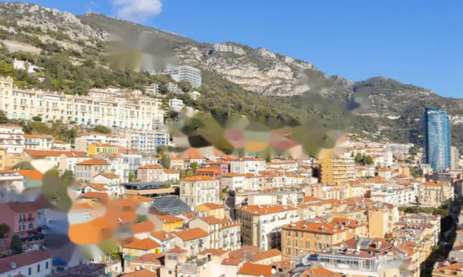 Недвижимость Apartment Monaco, Monte-Carlo: 12