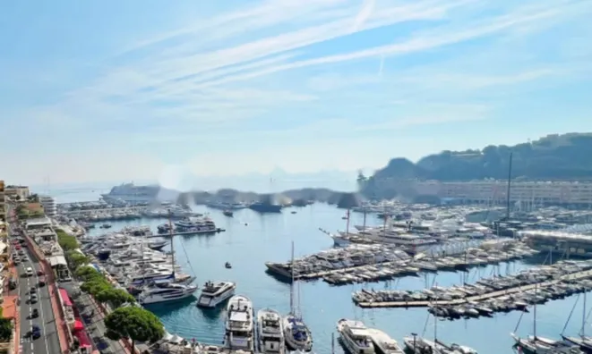 Недвижимость Apartment Monaco, Port: 1