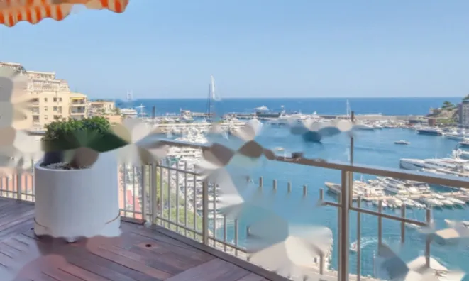 Недвижимость Apartment Monaco, Port: 6