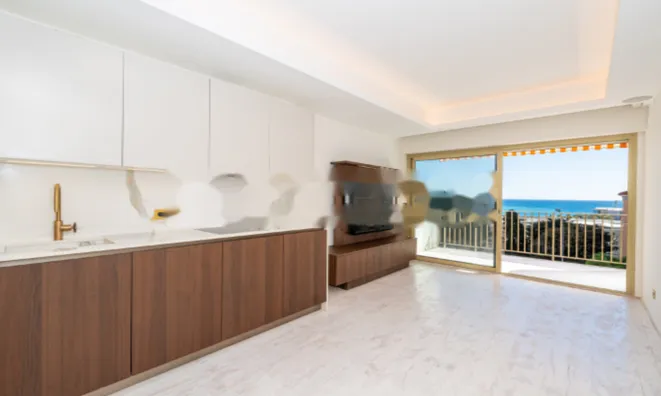 Недвижимость Apartment Monaco, Monte Carlo: 12