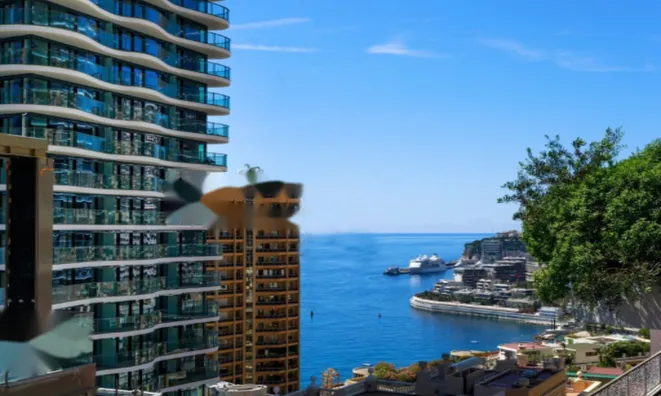 Недвижимость Apartment Monaco, La Rousse: 2