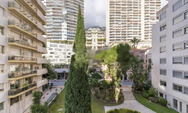 Недвижимость Apartment Monaco, La Rousse: 8