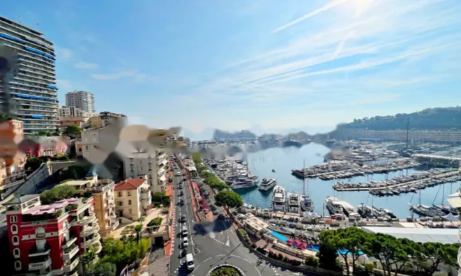 Недвижимость Apartment Monaco, Port: 2