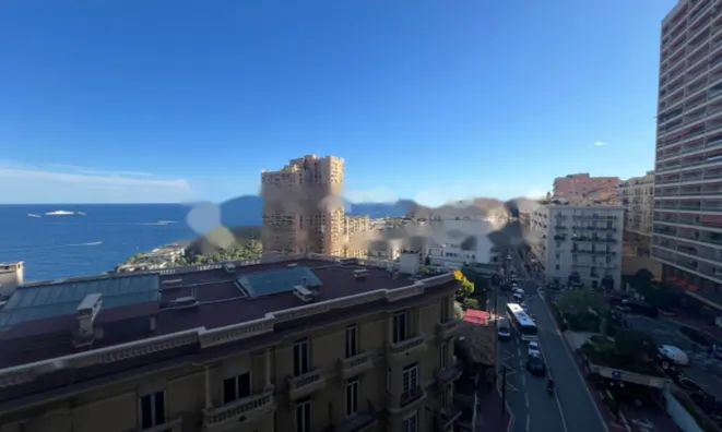 Недвижимость Apartment Monaco, Monte-Carlo: 9