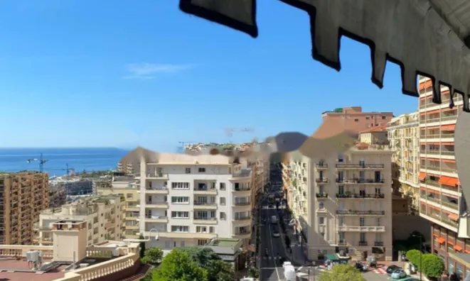 Недвижимость Apartment Monaco, Monte-Carlo: 10