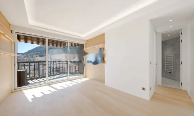 Недвижимость Apartment Monaco, Monte Carlo: 2