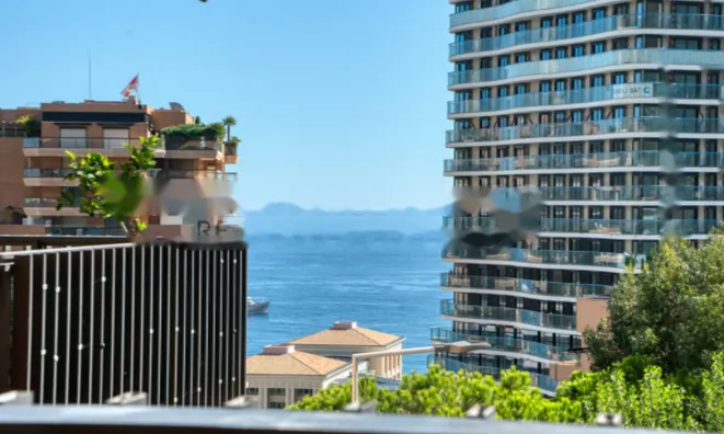 Недвижимость Apartment Monaco, La Rousse: 1
