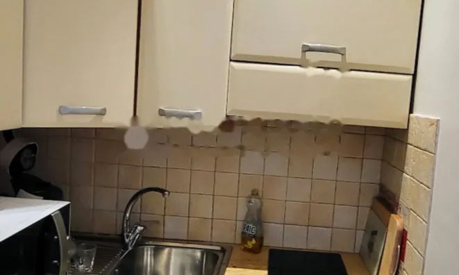 Недвижимость Apartment Monaco, Condamine: 5