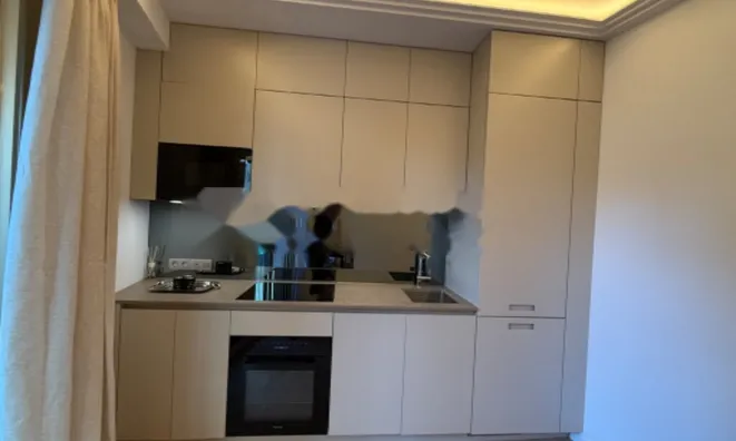 Недвижимость Apartment Monaco, Jardin Exotique: 3