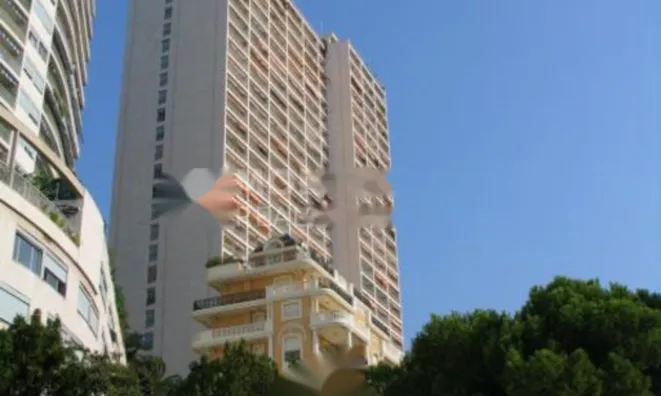 Недвижимость Apartment Monaco, La Rousse: 10