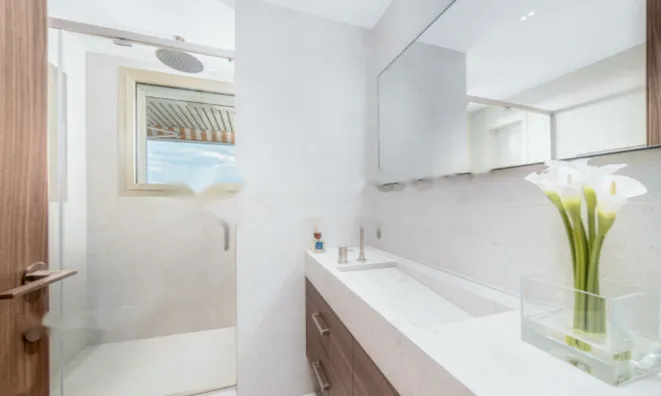 Недвижимость Apartment Monaco, Moneghetti: 14