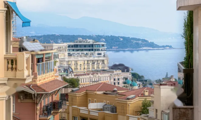 Недвижимость Apartment Monaco, Moneghetti: 20
