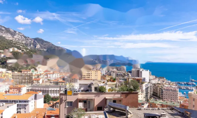 Недвижимость Apartment Monaco, Jardin Exotique: 11