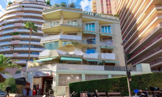 Недвижимость Apartment Monaco, Jardin Exotique: 18