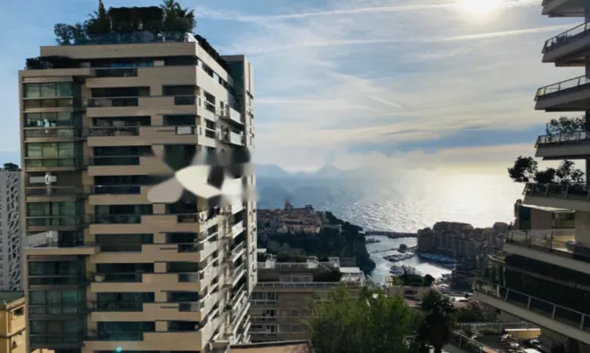 Недвижимость Apartment Monaco, Jardin Exotique: 1