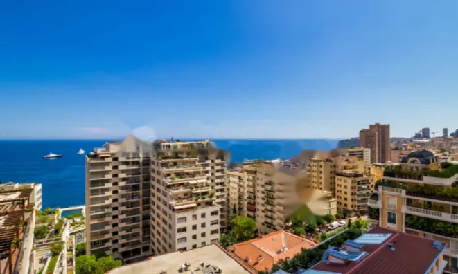 Недвижимость Apartment Monaco, La Rousse: 2