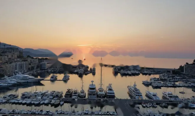 Недвижимость Apartment Monaco, Port: 9