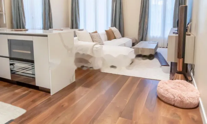 Недвижимость Apartment Monaco: 4