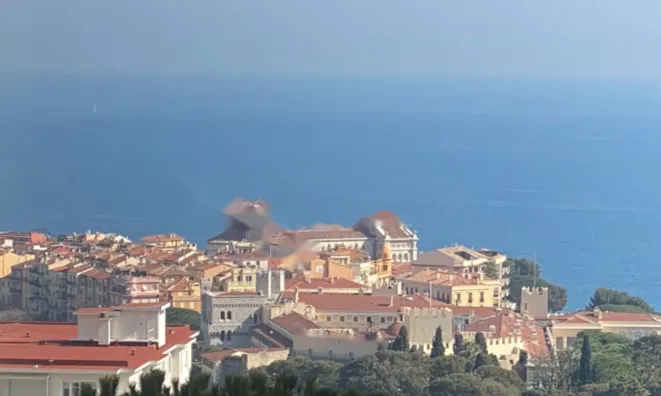 Недвижимость Apartment Monaco, Jardin Exotique: 9