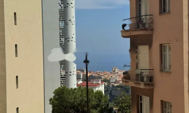 Недвижимость Apartment Monaco, Jardin Exotique: 11