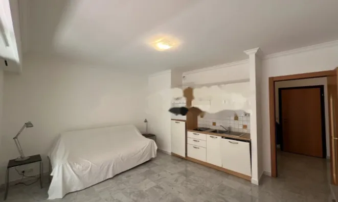 Недвижимость Apartment Monaco, Condamine: 6