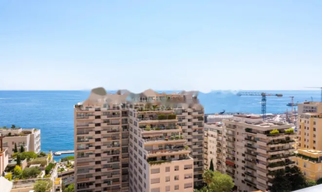 Недвижимость Apartment Monaco, La Rousse: 1