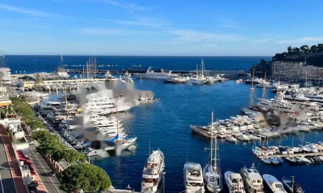 Недвижимость Apartment Monaco, Port: 2