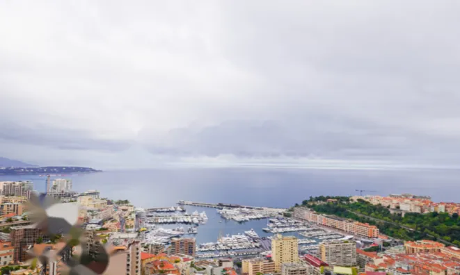Недвижимость Apartment Monaco, Moneghetti: 1