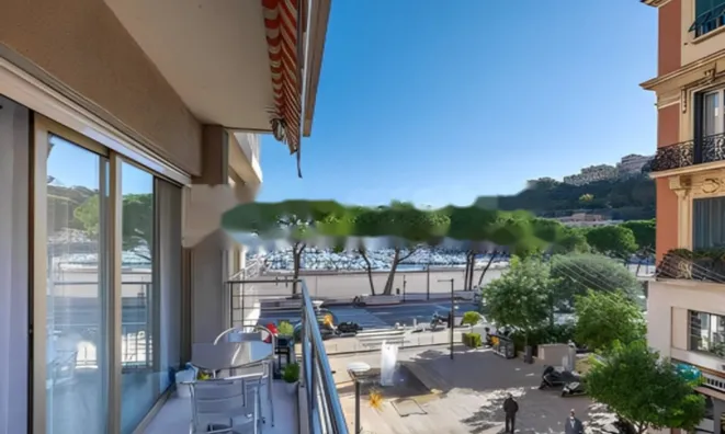 Недвижимость Apartment Monaco: 11