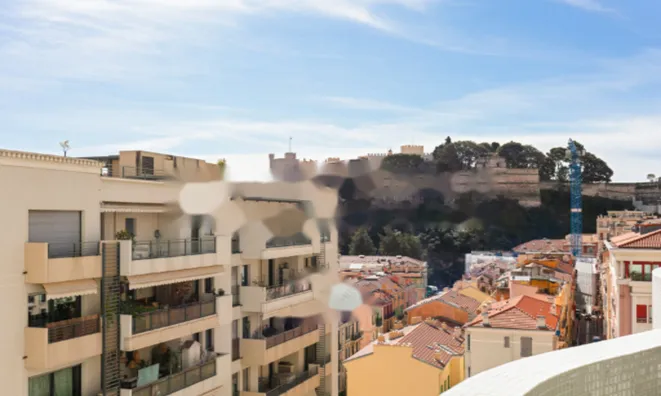 Недвижимость Apartment Monaco, Condamine: 10