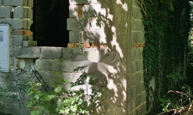 Недвижимость Дом в Великом Требелеве: 1