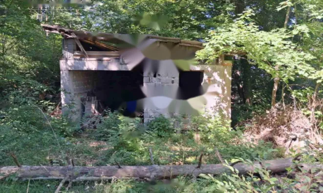 Недвижимость Дом в Великом Требелеве: 2