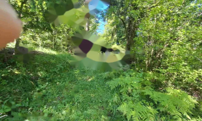 Недвижимость Дом в Великом Требелеве: 3