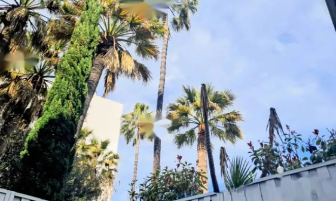 Недвижимость Apartment Cannes Croix Gardes: 7