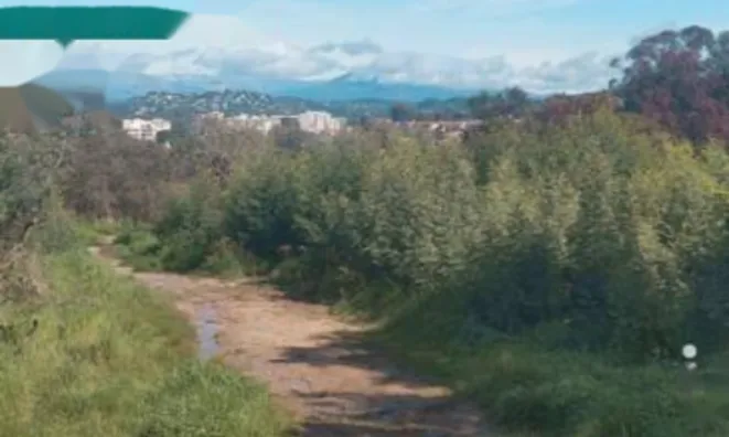 Недвижимость Apartment Cannes Croix Gardes: 14