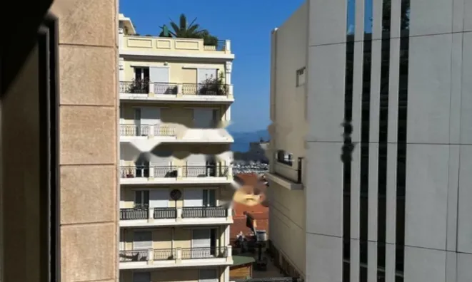 Недвижимость Apartment Monaco, Jardin Exotique: 12