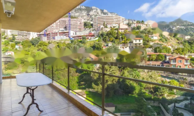 Недвижимость Apartment Monaco, La Rousse: 3