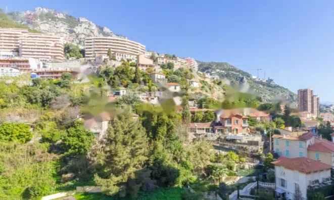 Недвижимость Apartment Monaco, La Rousse: 4