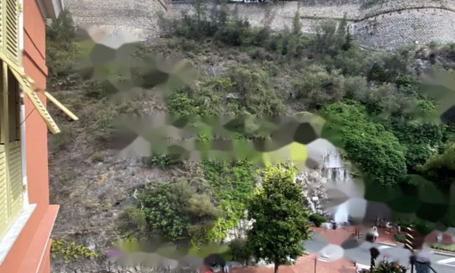 Недвижимость Apartment Monaco, Condamine: 2