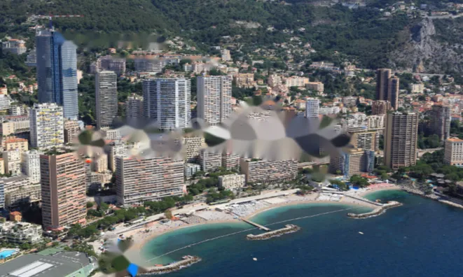Недвижимость Apartment Monaco, La Rousse: 4