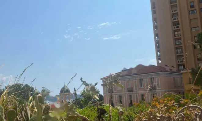 Недвижимость Apartment Monaco, Monte-Carlo: 1