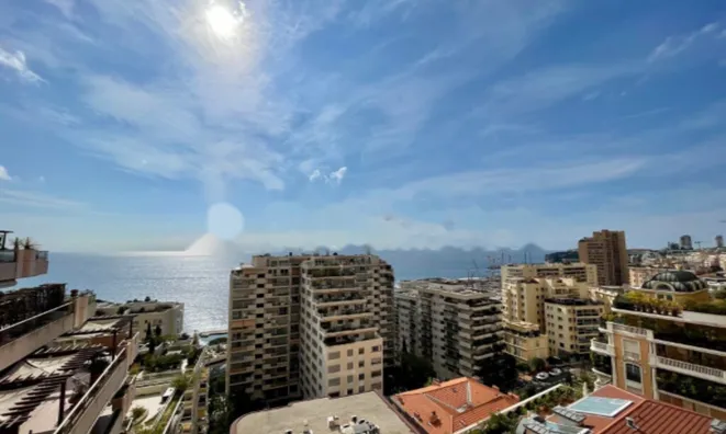 Недвижимость Apartment Monaco, La Rousse: 1