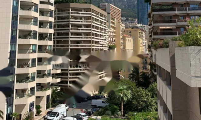 Недвижимость Apartment Monaco, Carre d'Or: 15