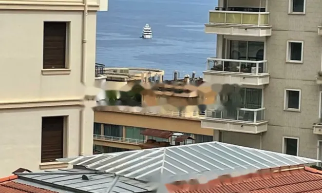 Недвижимость Apartment Monaco, La Rousse: 17