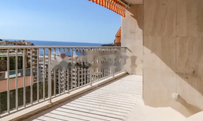 Недвижимость Apartment Monaco, La Rousse: 4