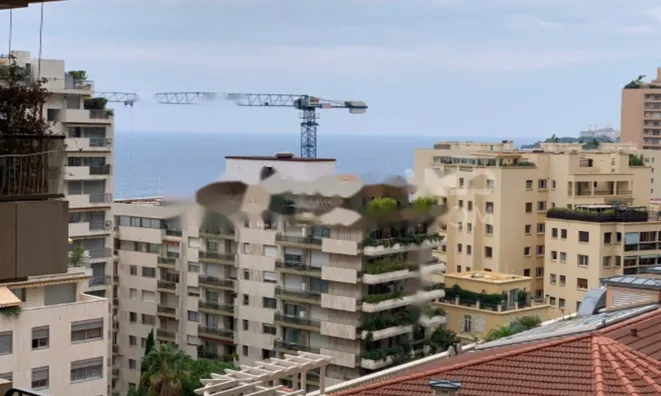 Недвижимость Apartment Monaco, La Rousse: 8