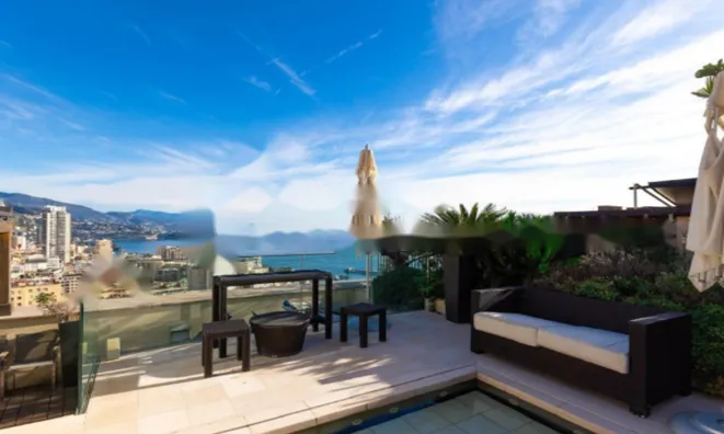 Недвижимость Apartment Monaco, Moneghetti: 8