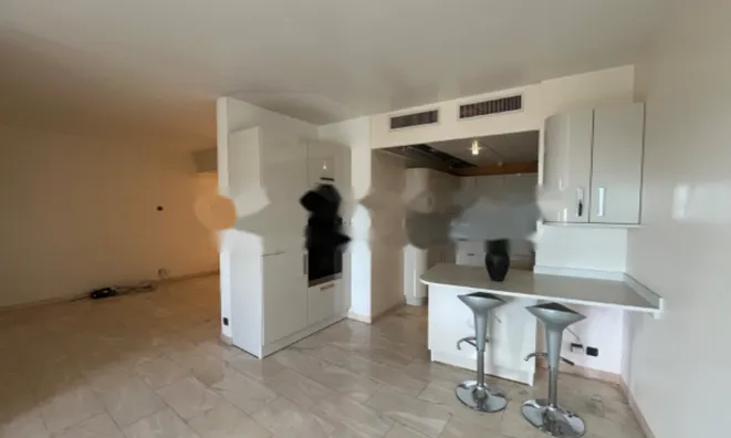 Недвижимость Apartment Monaco, Jardin Exotique: 2